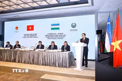 Chủ tịch Quốc hội Trần Thanh Mẫn phát biểu. (Ảnh: Doãn Tấn/TTXVN)
