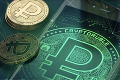 Ảnh minh họa. (Nguồn: Payments)