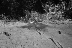 Hiện trường vụ việc (Ảnh: Công an Bắc Ninh cung cấp)