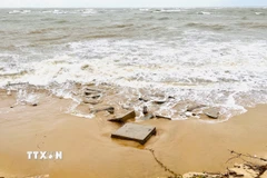 Áp thấp nhiệt đới gây mưa to, gió mạnh và biển động. (Ảnh: Nguyên Linh/TTXVN)