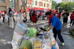Lực lượng thanh niên tình nguyện tham gia vệ sinh môi trường, trả lại cảnh quan Đô thị xanh-sạch-đẹp. (Ảnh: Quốc Lũy/TTXVN)