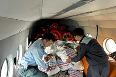 Cán bộ, chiến sỹ Trung đoàn Không quân 930 (Sư đoàn Không quân 372) xếp các bao tải hàng cứu trợ lên máy bay trực thăng để chuyển đến cho người dân đang bị nước lũ bao vây cô lập tại các tỉnh Nam Trung Bộ. (Ảnh: Trần Lê Lâm/TTXVN)