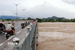 Lũ trên Sông Cái Phan Rang sáng 20/11 cao trên mức động 3. (Ảnh: Công Thử/TTXVN)