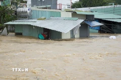 Nhiều nhà dân tại Gia Lai bị ngập lụt từ 1,5-3m. (Ảnh: Sỹ Thắng/TTXVN)