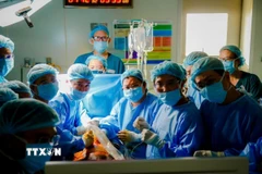 Êkíp bác sỹ 2 bệnh viện Từ Dũ và Nhi Đồng 1 phối hợp phẫu thuật cho sản phụ người Singapore. (Ảnh: TTXVN phát)