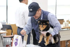 Cử tri bỏ phiếu sớm bầu Tổng thống tại điểm bầu cử ở Seoul, Hàn Quốc. (Ảnh: Yonhap/TTXVN)