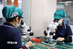 (Ảnh minh họa: Quốc Khánh/TTXVN)