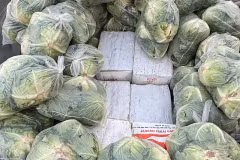 900kg ketamine và 700kg ma túy đá được chia thành nhiều kiện hàng giấu bên dưới các túi rau bắp cải chất trên thùng xe. (Nguồn: AFP)