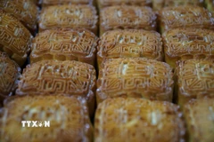 Một dây chuyền sản xuất bánh Trung Thu. (Ảnh: Bích Huệ/TTXVN)