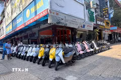 Khách hàng lựa chọn xe máy điện trên đường An Dương Vương nhằm thích ứng linh hoạt trước biến động của thị trường nhiên liệu. (Ảnh: Thanh Vũ/TTXVN)