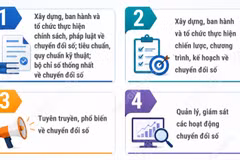 Tám nội dung quản lý nhà nước về chuyển đổi số từ 1/7/2026