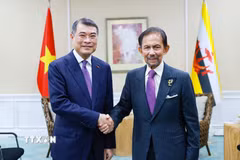 Thủ tướng Chính phủ Lê Minh Hưng gặp Quốc vương Brunei Haji Hassanal Bolkiah. (Ảnh: Dương Giang/TTXVN)