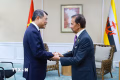 Thủ tướng Chính phủ Lê Minh Hưng gặp Quốc vương Brunei Haji Hassanal Bolkiah. (Ảnh: Dương Giang/TTXVN)
