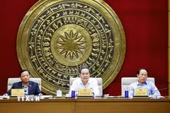 Chủ tịch Quốc hội Trần Thanh Mẫn, Trưởng ban Ban Chỉ đạo về tổng rà soát hệ thống văn bản quy phạm pháp luật, phát biểu. (Ảnh: Doãn Tấn/TTXVN)