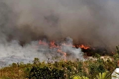 Đám cháy rừng tại phường Đại Yên, thành phố Hạ Long, tỉnh Quảng Ninh. (Ảnh: Đức Hiếu/TTXVN)