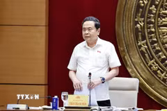 Chủ tịch Quốc hội Trần Thanh Mẫn phát biểu. (Ảnh: Doãn Tấn/TTXVN)