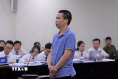 Bị cáo Phạm Vũ Khiêm, Giám đốc, Người đại diện pháp luật Công ty Herbitech, khai báo tại Tòa. (Ảnh: Kim Anh/TTXVN)