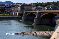 Mực nước sông Danube tại Dunaszekcso, Hungary xuống thấp nghiêm trọng. (Ảnh: THX/TTXVN phát)