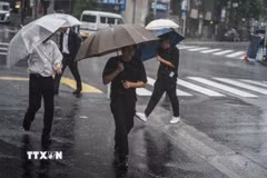 Một cơn bão gây mưa lớn tại Nhật Bản. (Ảnh: THX/TTXVN)