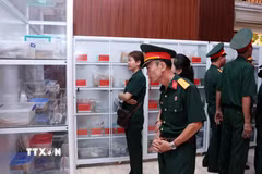 Các cựu chiến binh lặng lẽ trước tủ bày các di vật tìm thấy trong quá trình khai quật hài cốt liệt sỹ. (Ảnh: Xuân Khu/TTXVN)