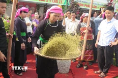 Phụ nữ Tày xã Hợp Thành sàng cốm - công đoạn không thể thiếu trong quá trình làm cốm. (Ảnh: Hương Thu/TTXVN)