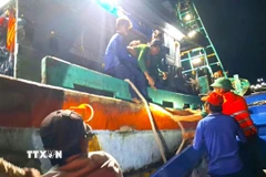Tổ công tác Đồn Biên phòng Gành Hào tiếp cận tàu cá để đưa thuyền viên bệnh nặng vào bờ. (Ảnh: TTXVN phát)