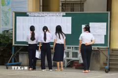 Các thí sinh tra cứu danh sách Kỳ thi tại Điểm thi số 2, Trường THPT Trần Phú, thành phố Đà Nẵng. (Ảnh: Khoa Chương/TTXVN)