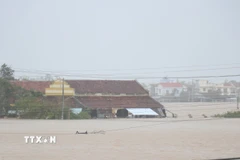 Mưa lũ trong những ngày qua ở miền Trung khiến 39.517 lượt nhà bị ngập. (Ảnh: Tuấn Anh/TTXVN)