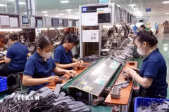 Ngành sản xuất sản phẩm điện tử, máy vi tính và sản phẩm quang học tiếp tục là lĩnh vực tạo ra giá trị sản xuất lớn. (Ảnh: Nguyễn Chinh/TTXVN)