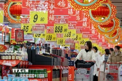 Phụ nữ sẽ kiểm soát 75% chi tiêu xã hội trong 5 năm tới. (Ảnh: THX/TTXVN)