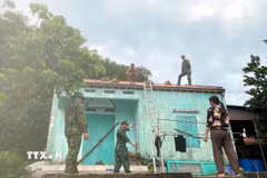 Chiến sỹ Bộ đội Biên phòng đồn Ngọc Vừng (Bộ đội Biên phòng Quảng Ninh) giúp người dân chằng chống nhà cửa trước bão. (Ảnh: Thanh Vân/TTXVN)