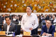 Thứ trưởng Bộ Tài chính Cao Anh Tuấn phát biểu. (Ảnh: Doãn Tấn/TTXVN)