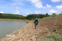 Kè đá hồ Phượng Hoàng (xã Đông Sơn) bị bong tróc, mất liên kết, tiềm ẩn nguy cơ vỡ đập rất cao. (Ảnh: Đinh Hương/TTXVN)