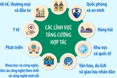 Quan hệ Đối tác Chiến lược Toàn diện Tăng cường Việt Nam-Ấn Độ