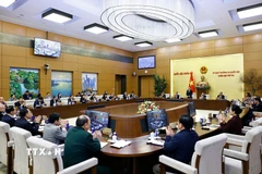 Chủ tịch Quốc hội Trần Thanh Mẫn phát biểu khai mạc Phiên họp. (Ảnh: Doãn Tấn/TTXVN)