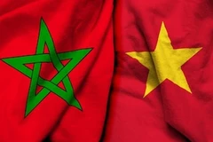Điện mừng kỷ niệm 65 năm thiết lập quan hệ ngoại giao Việt Nam-Maroc