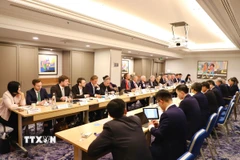 Tọa đàm giữa Việt Nam và Đức, trao đổi về phát triển Trung tâm tài chính quốc tế tại Việt Nam và tăng cường hợp tác kinh tế song phương tại Frankfurt am Main ngày 30/9. (Ảnh: Phương Hoa/TTXVN)