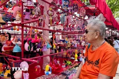 Một ông lão trầm ngâm trước các món đồ Trung thu bắt mắt. (Ảnh: Đỗ Vân/TTXVN)