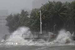 Sóng biển dâng cao khi bão Matmo đổ bộ vào Hải Khẩu, tỉnh Hải Nam, Trung Quốc ngày 5/10. (Ảnh: THX/TTXVN)