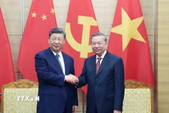 Tổng Bí thư Tô Lâm và Tổng Bí thư, Chủ tịch nước Trung Quốc Tập Cận Bình. (Ảnh: Thống Nhất/TTXVN)