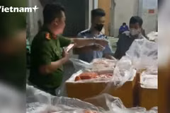 Cơ quan chức năng phát hiện hơn 7 tấn thực phẩm đông lạnh không rõ nguồn gốc. (Ảnh: Vietnam+)