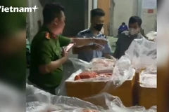 Phát hiện hơn 7 tấn thực phẩm đông lạnh không rõ nguồn gốc