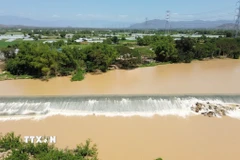 Đập Nha Trinh xây dựng trên sông Cái Phan Rang (xã Mỹ Sơn, Khánh Hòa) thể hiện tư duy “dẫn thủy nhập điền” độc đáo của người Chăm xưa. (Ảnh: Nguyễn Thành/TTXVN)