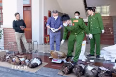 Ảnh minh họa. (Ảnh: TTXVN phát)