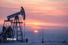 Một giàn khoan dầu tại khu vực Almetyevsk, Nga. (Ảnh: TASS/TTXVN)