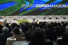 Toàn cảnh Hội nghị lần thứ 30 các bên tham gia Công ước khung của Liên hợp quốc về biến đổi khí hậu (COP30) tại Belem. (Ảnh: THX/TTXVN)