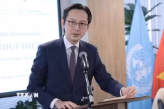 Đại sứ, Trưởng Phái đoàn Thường trực Việt Nam tại Liên hợp quốc Đỗ Hùng Việt. (Ảnh: Thanh Tuấn/TTXVN)