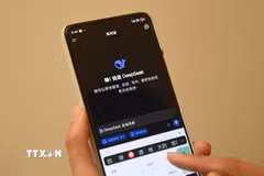 Ứng dụng DeepSeek trên điện thoại di động. (Ảnh: THX/TTXVN)