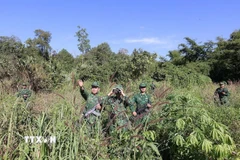 Bộ đội Biên phòng tổ chức đi tuần tra bảo vệ biên giới. (Ảnh: Vũ Sinh/TTXVN)