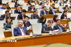 Tổng Bí thư, Chủ tịch nước Tô Lâm cùng các đồng chí lãnh đạo Đảng, Nhà nước dự phiên họp. (Ảnh: Doãn Tấn/TTXVN)